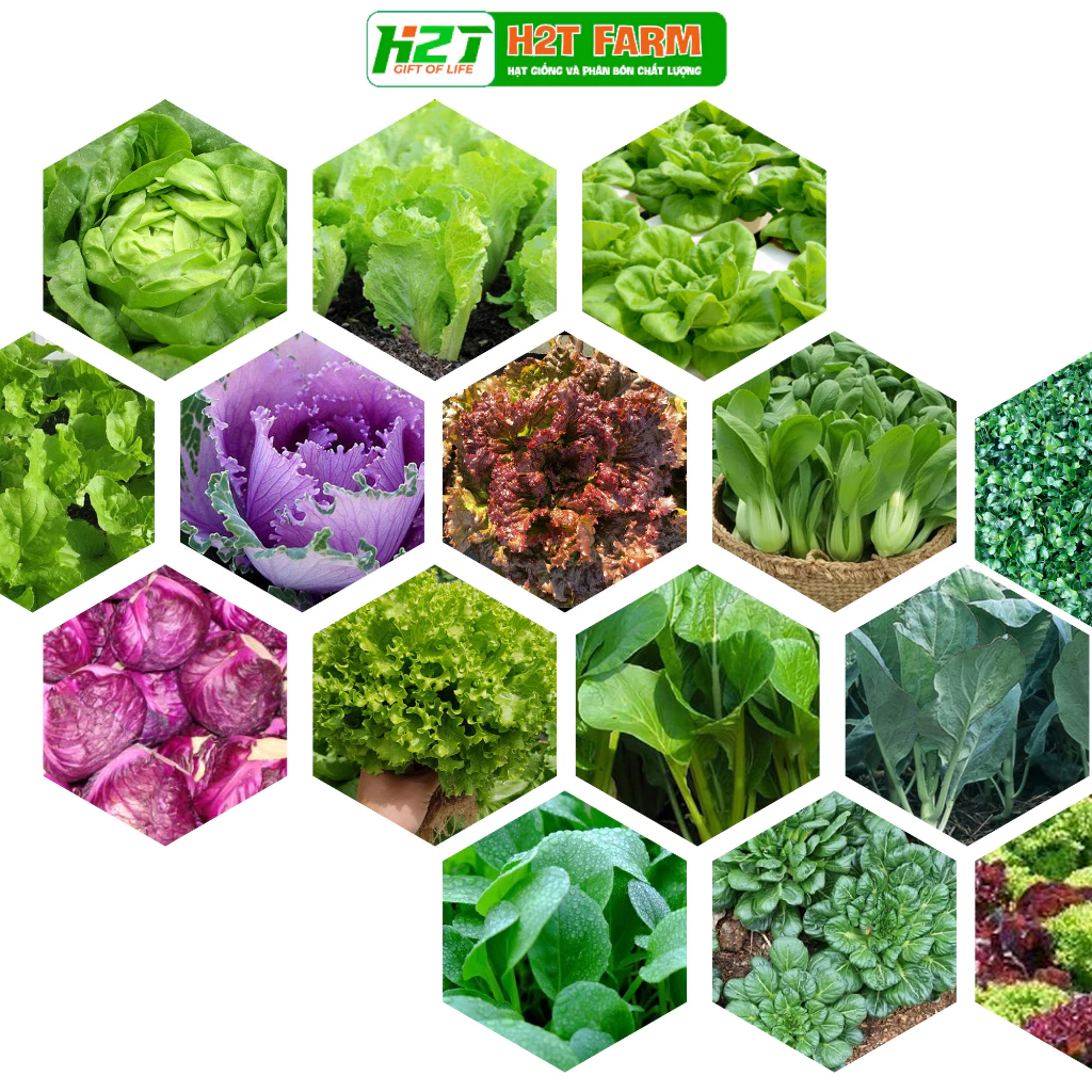 vn 11134207 7r98o ll9a87rbk69ice